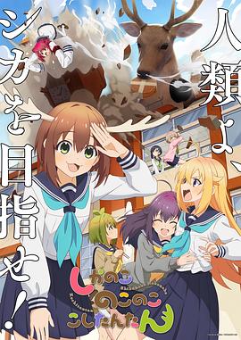 平静的海滩